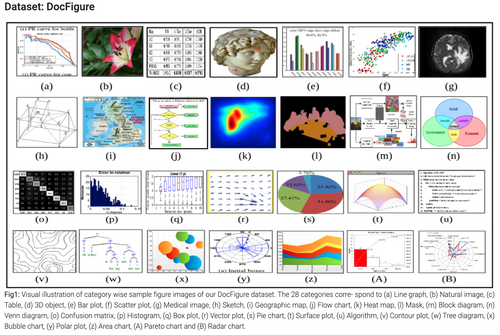 DocFigure dataset