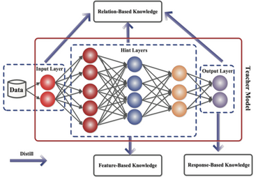 les différents types de knowledge dans un réseau de neurones