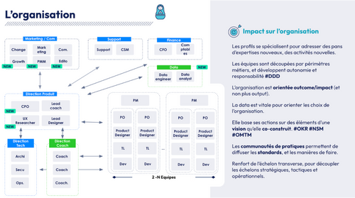 Schéma l'organisation