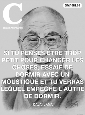 commencer-petit-culture-hacking-dalai-lama