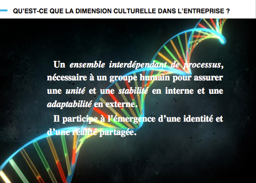 dimension-culturelle-culture-hacking