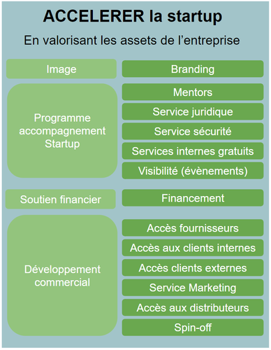 Optimiser une acquisition de startup. Accélérer la startup en valorisant les capacités de l'entreprise