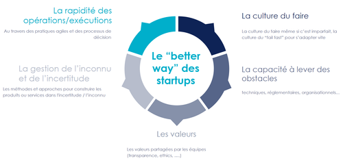 Synthèse des meilleures pratiques des startups