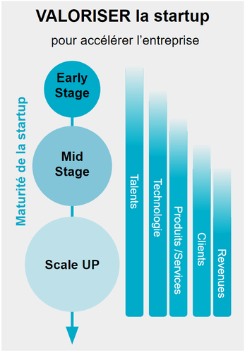 Valoriser une acquisition de startup. Accélérer l'entreprise en valorisant les assets de la startup