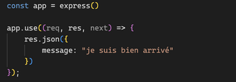 middleware nodejs "use" ayant des paramètres non typés