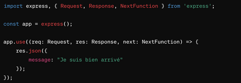 middleware nodejs "use" ayant des paramètres typés