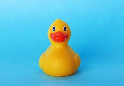 canard en plastique