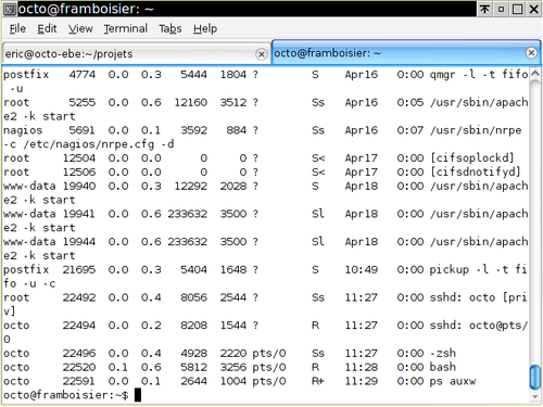 gnome-terminal