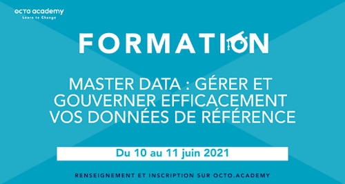 Formation - Master Data : Gérer et Gouverner efficacement vos données de référence 