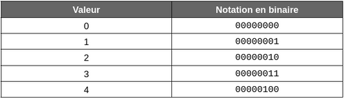 Représentation binaire de valeurs décimales