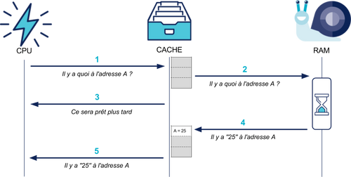 Quand le CPU a besoin d'accéder à de la mémoire en RAM, il la demande au cache qui la lui renvoie, et la garde lui-même pour la renvoyer plus rapidement ensuite.